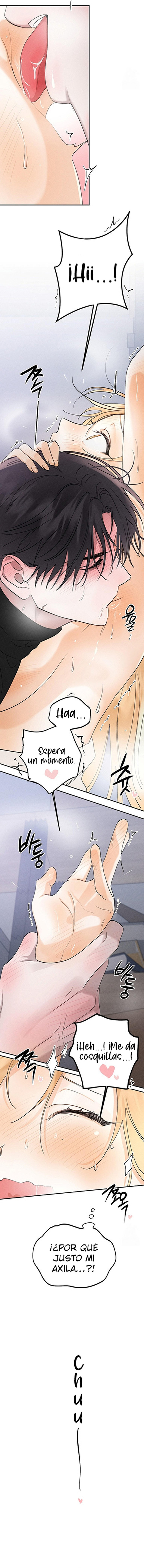 Imagen del capítulo 13